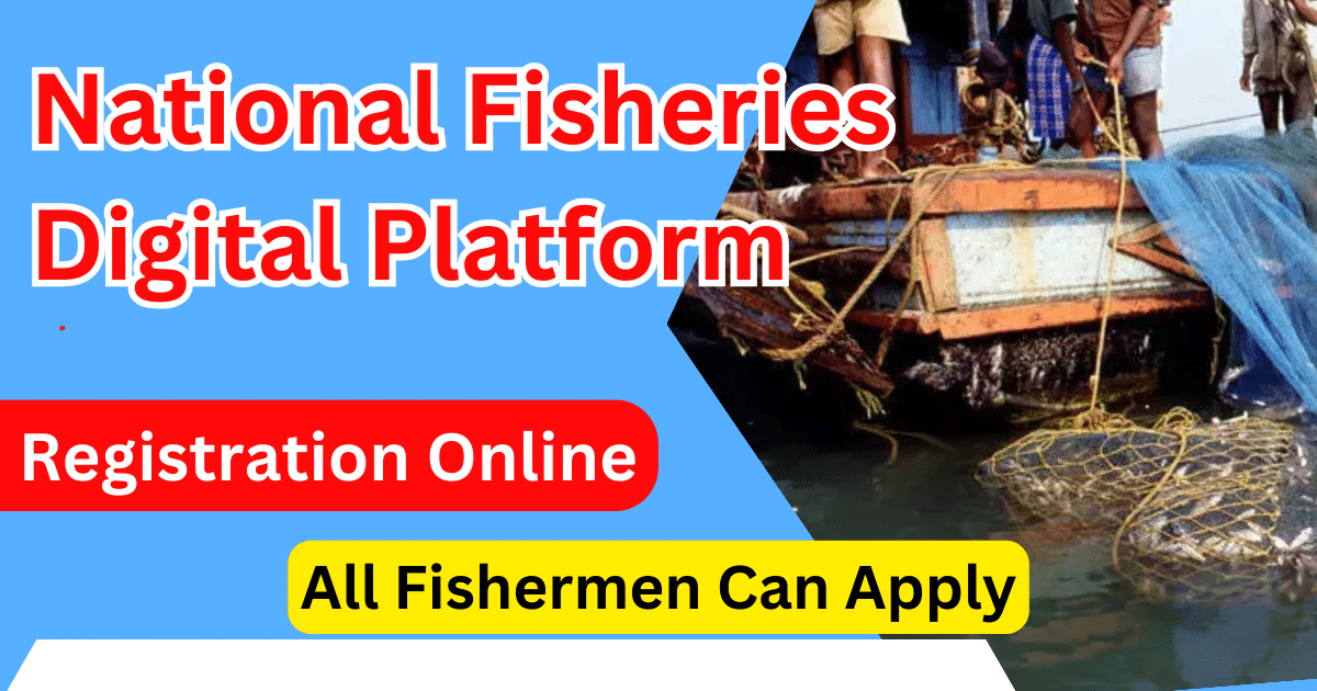 National Fisheries Digital Platform Registration Online Process