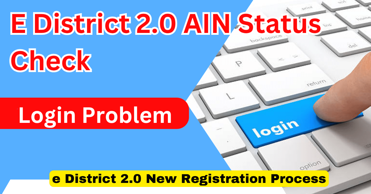 E District 2.0 AIN Status Check