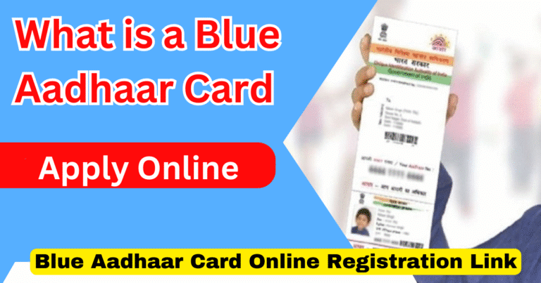 What Is A Blue Aadhaar Card, Apply Online, Benefits, Download